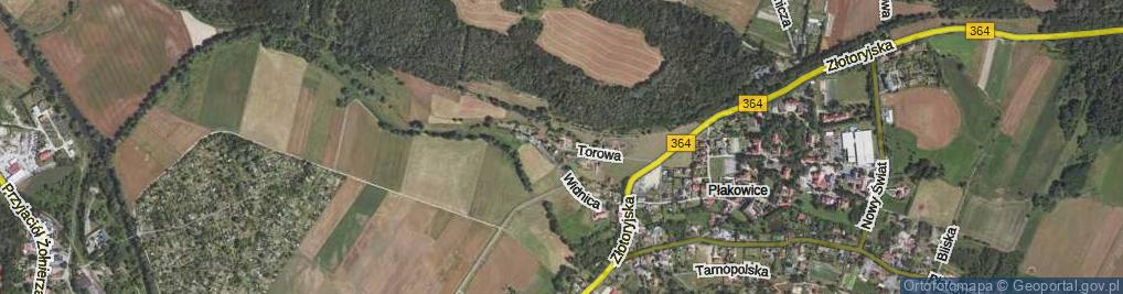 Zdjęcie satelitarne Torowa ul.